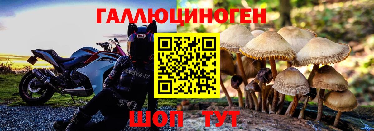 Галлюциногенные грибы Cubensis  Вход с VPN  Кореновск 